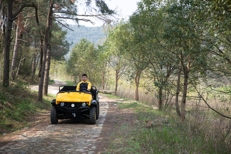 2-Seater-Electric-Car