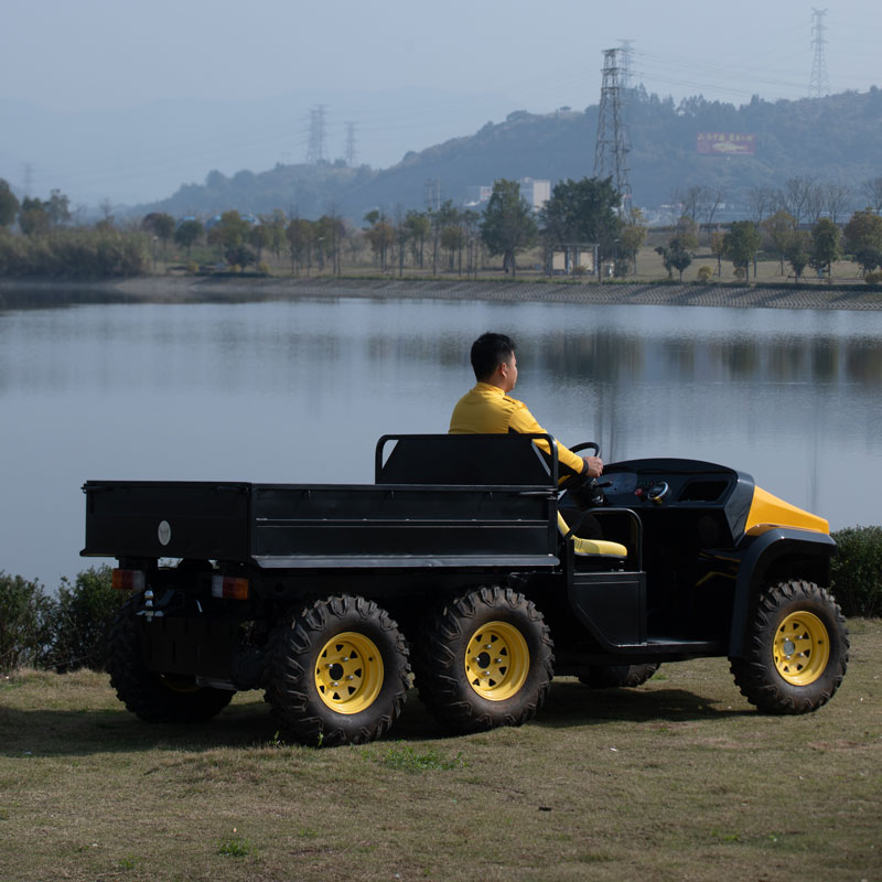 72V-1500W-Farm-Utility-Vehicle-Land-Cruiser-Dune-Buggy-Electric-UTV