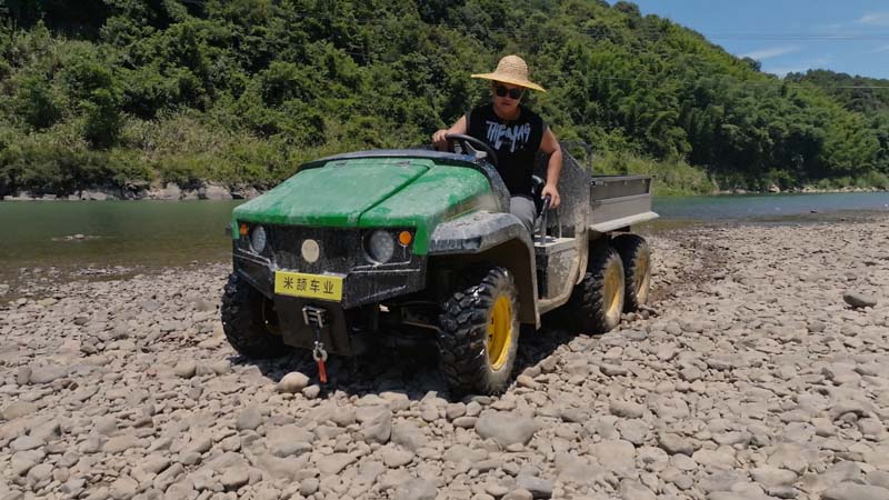 Farm Buggy Electric