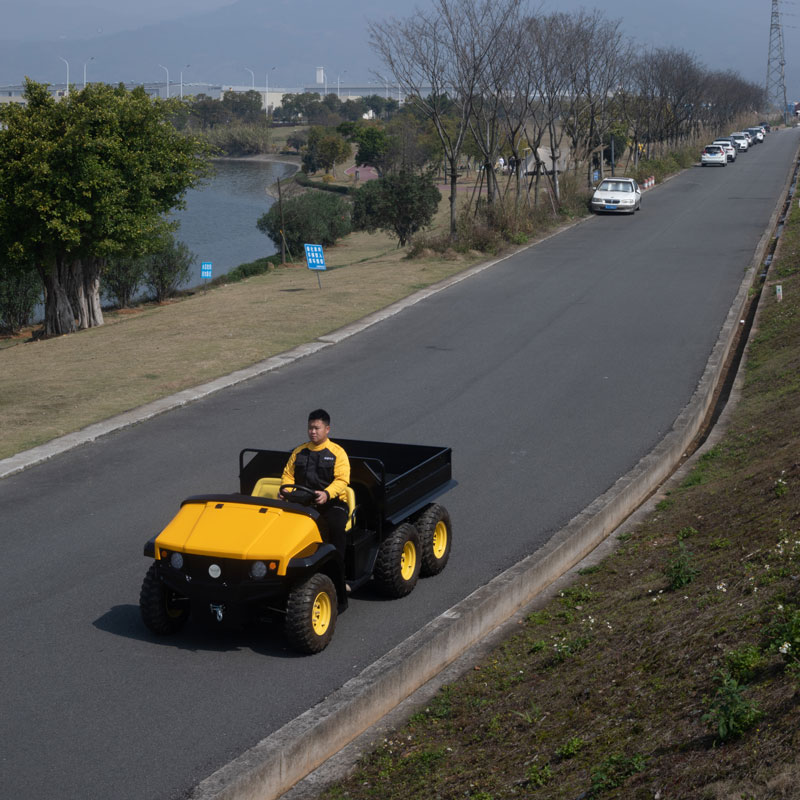 China-Utv-Offroad