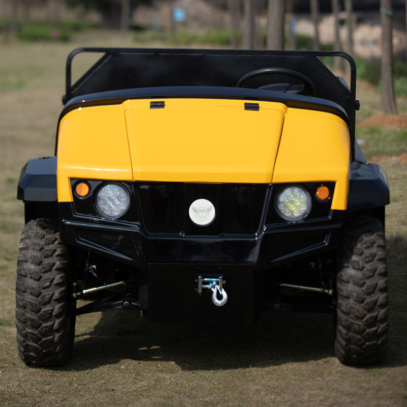 China-electric Utv-Truck