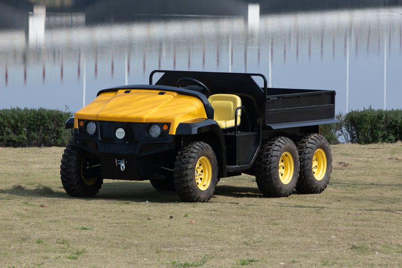 Electric-Cargo-Box-Dune-Buggy-ATV-UTV