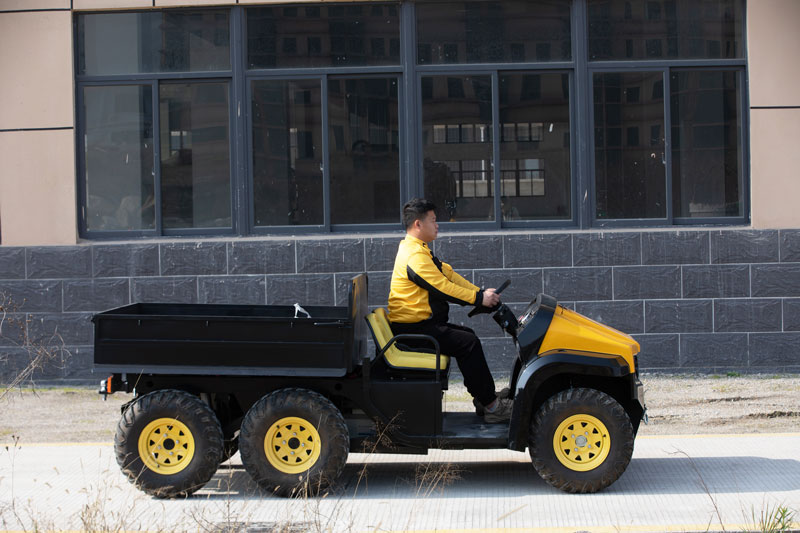 Electric-Farm-Utv-Factory