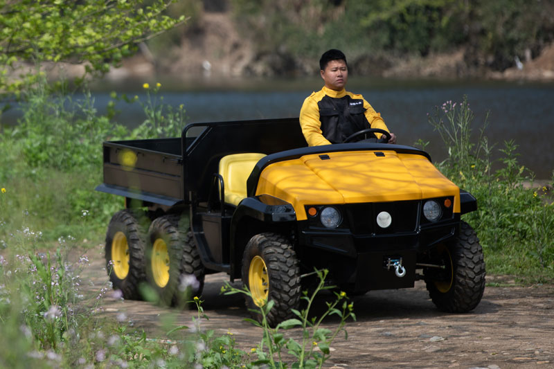 Electric-Flatbed-Utility-Golf-Cart-Vehicle