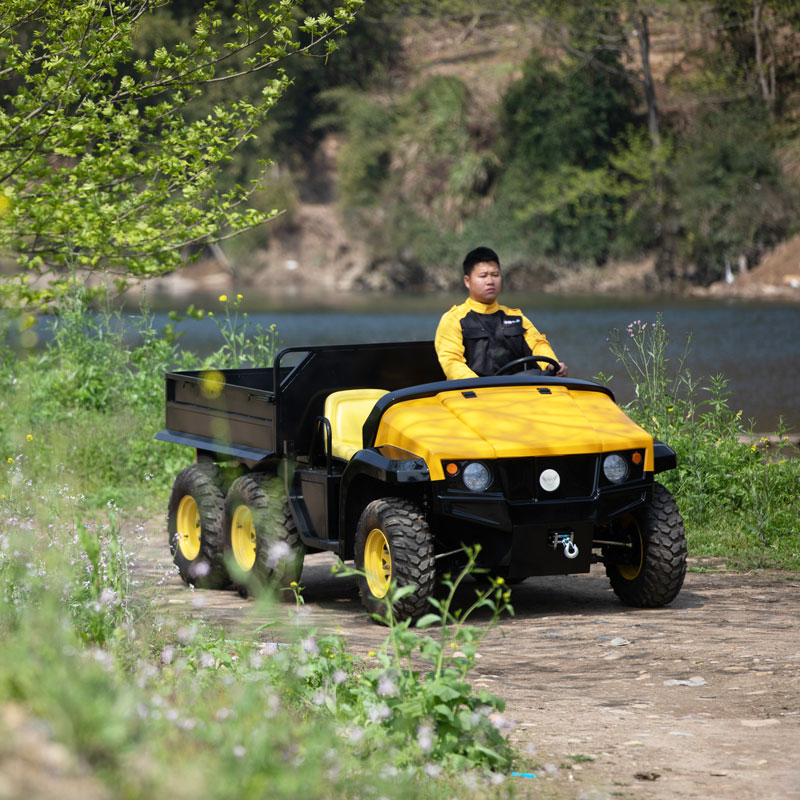 Electric-Garden-Utility-Vehicles