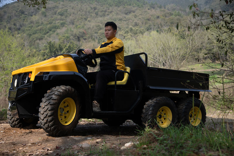 Electric-Golf-Buggy-With-Remote