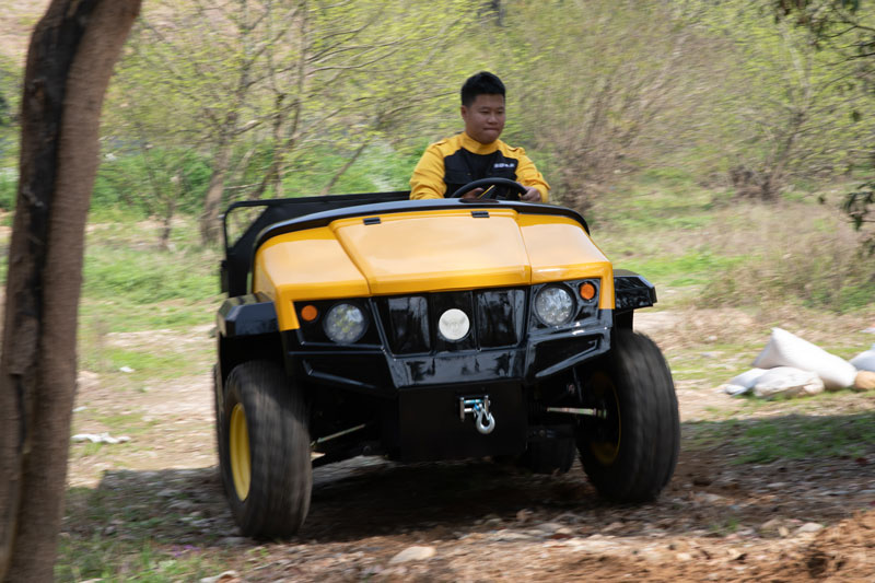 Electric-Golf-Cart-Dealers