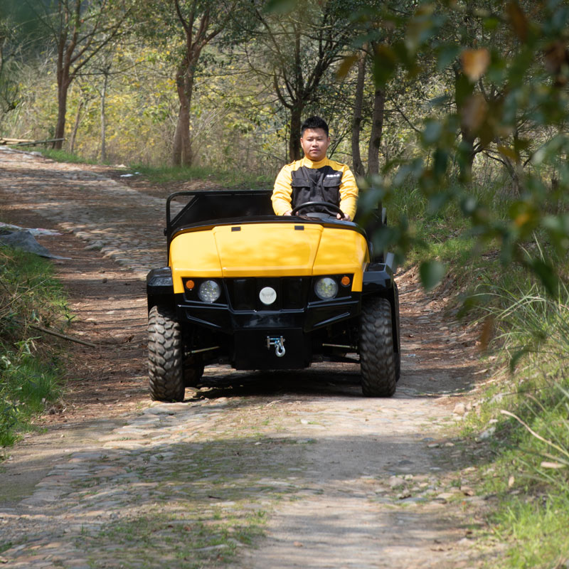 Electric-Golf-Cart-Utility