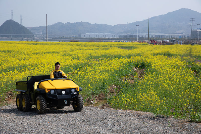 Golf-Carts-Electric-2-Seater-MIJIE