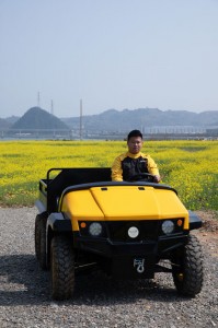 Golf-Cart-Electric-MIJIE