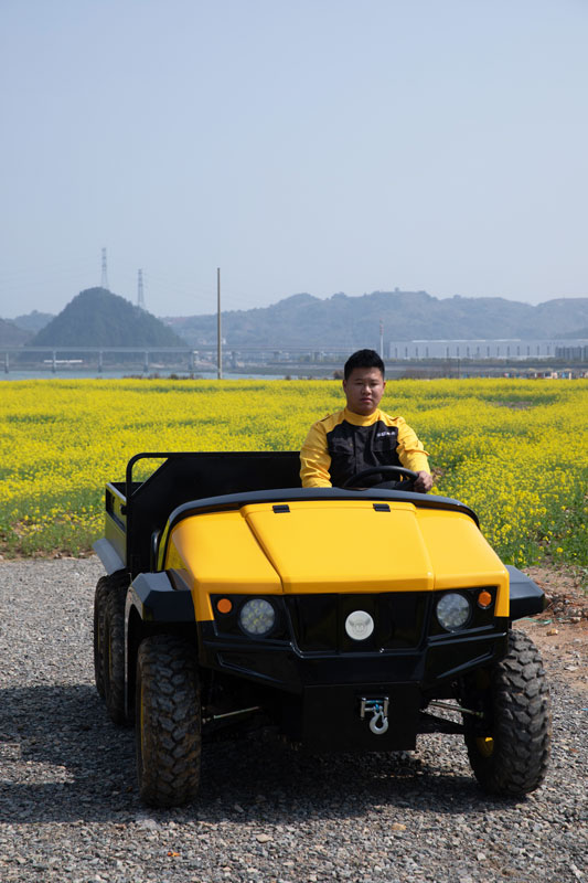 Golf-Carts-Electric-MIJIE