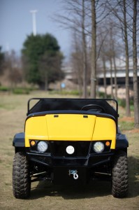 The electric utility vehicle is parked on the grass