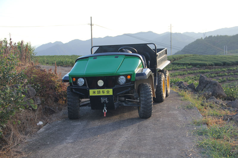 UTV is in the tea garden