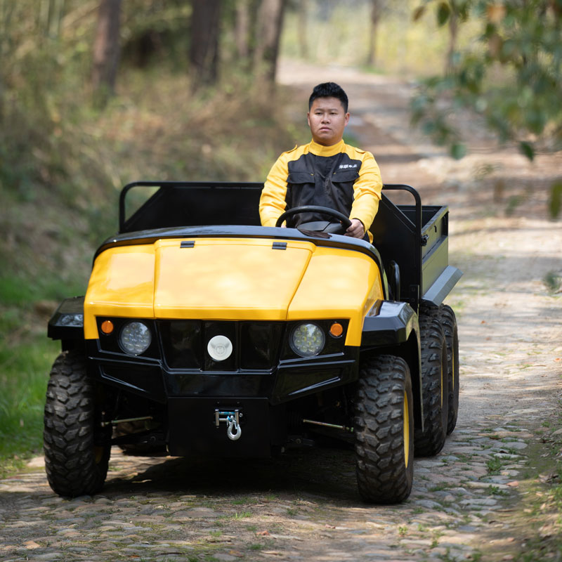 Multi-scenario-application-of-electric-UTV