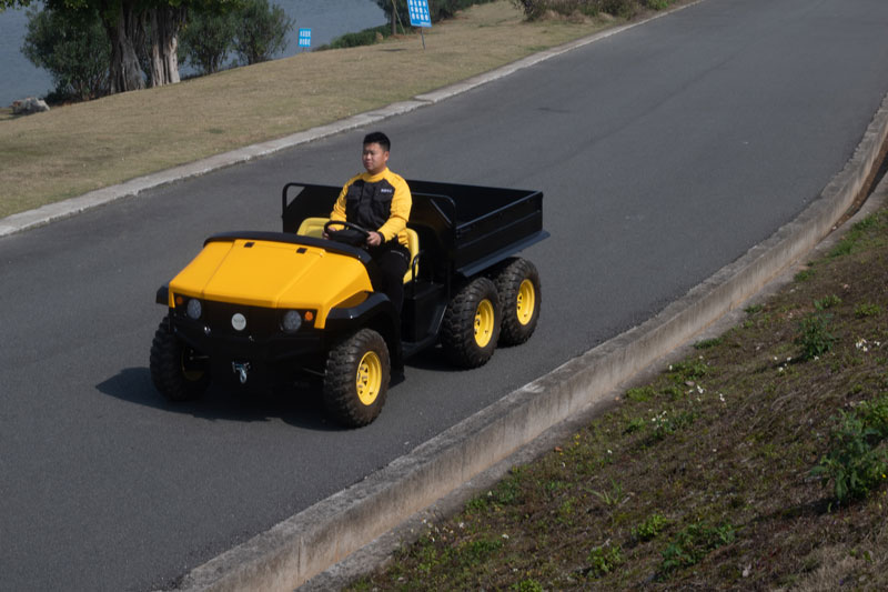 Zone-Electric-Golf-Cart