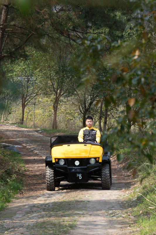 Six-wheeled electric utility vehicle in the woods